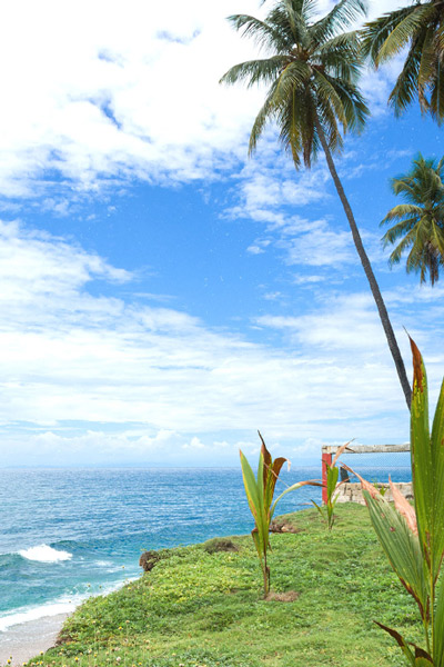 Ein malerischer Strand mit Palmen und Blick auf das türkisblaue Meer, das von Palmen und dem seltenen Larimar-Stein gesäumt wird.
